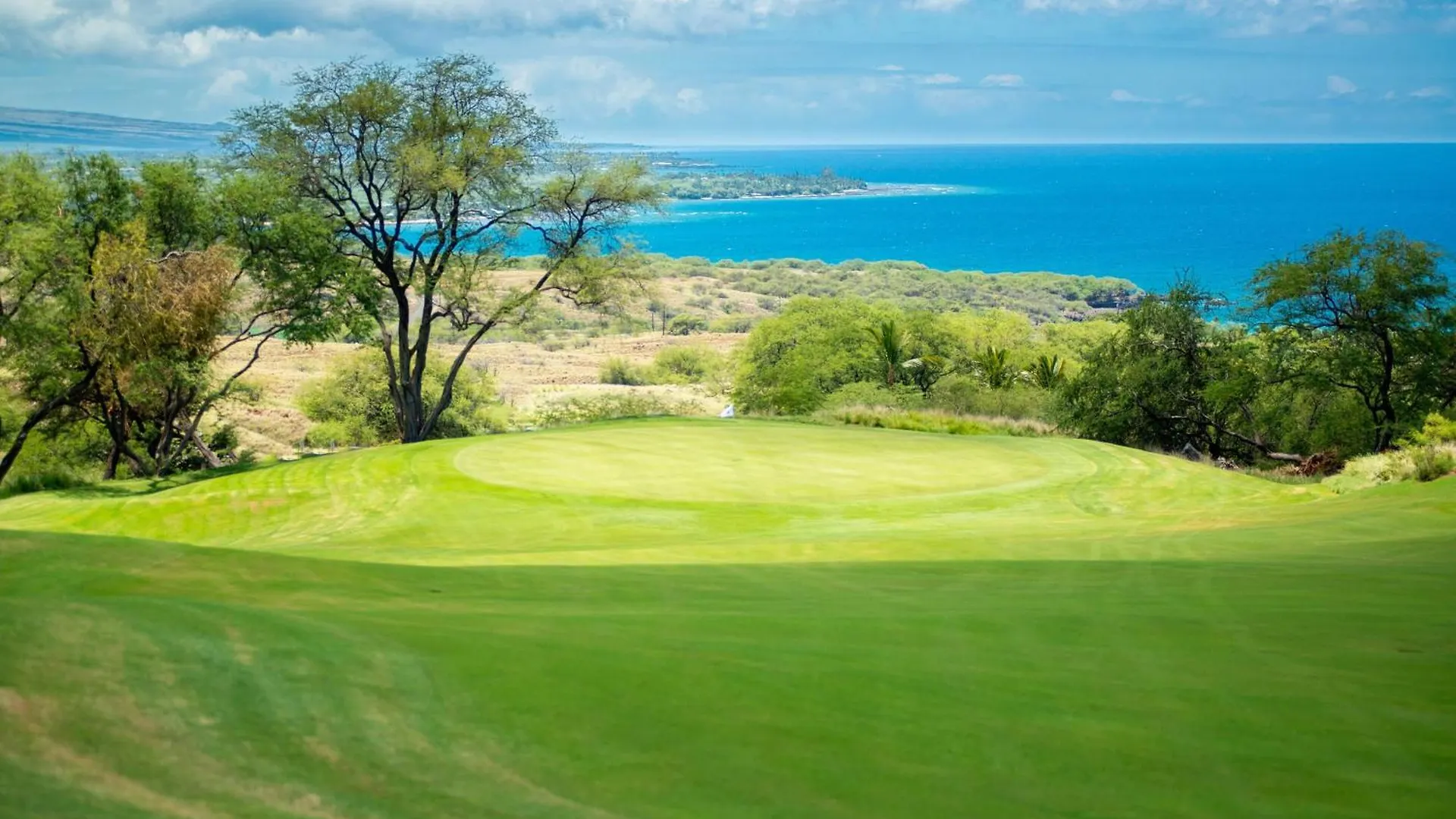 **** Hotel The Westin Hapuna Beach Resort United States
